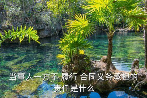 不履行合同違約責(zé)任,招標(biāo)人不履行合同的違約責(zé)任