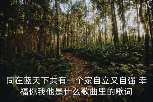 同在藍(lán)天下共有一個家自立又自強(qiáng) 幸福你我他是什么歌曲里的歌詞