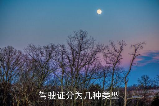 駕照分幾類,一般駕照考c1還是c2