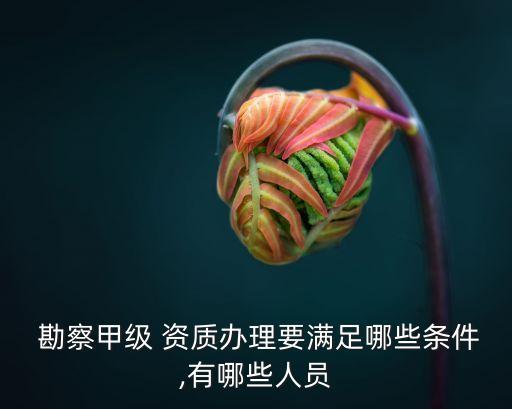  勘察甲級 資質(zhì)辦理要滿足哪些條件,有哪些人員