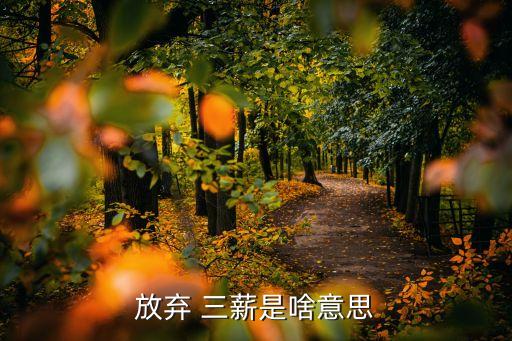 三薪是什么意思,法定節(jié)假日三薪是什么意思