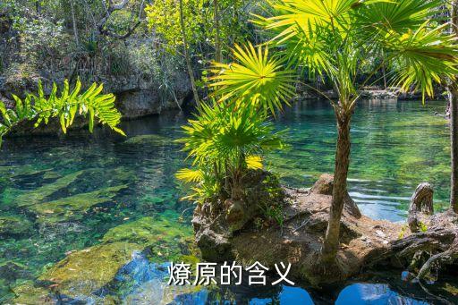 燎原計劃,吉林大學(xué)星火燎原計劃