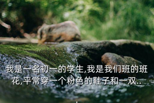 我是一名初一的學生,我是我們班的班花,平常穿一個粉色的鞋子和一雙...