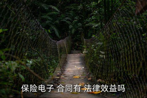 保險(xiǎn)電子 合同有 法律效益嗎