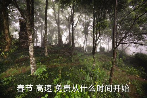 春節(jié) 高速 免費(fèi)從什么時(shí)間開始