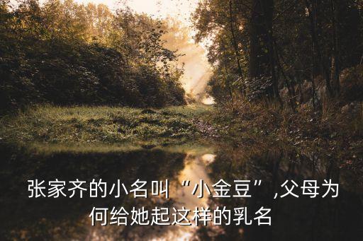 張家齊