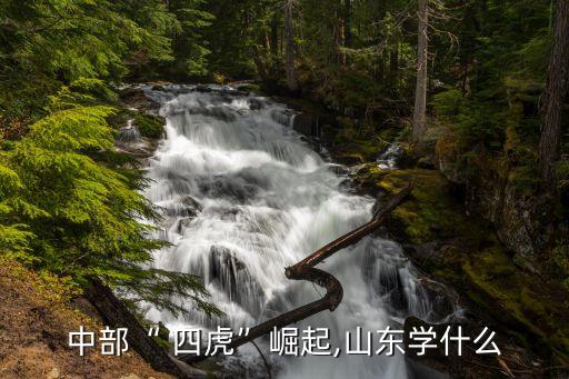 四虎最新域名,站長工具