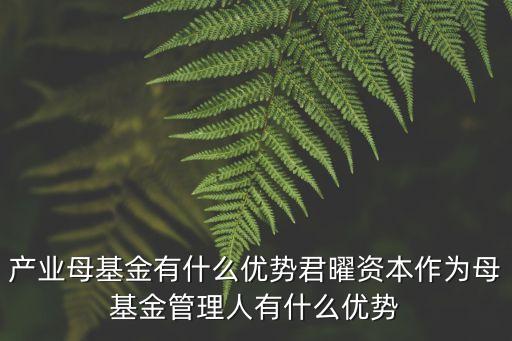 產(chǎn)業(yè)母基金有什么優(yōu)勢(shì)君曜資本作為母基金管理人有什么優(yōu)勢(shì)