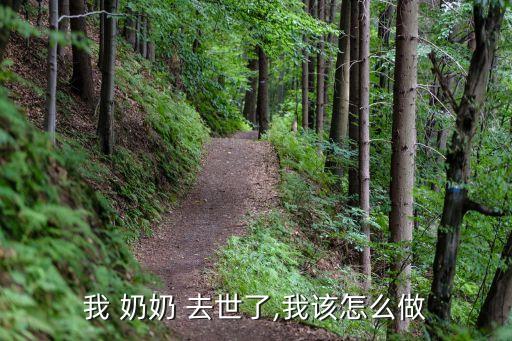 我 奶奶 去世了,我該怎么做