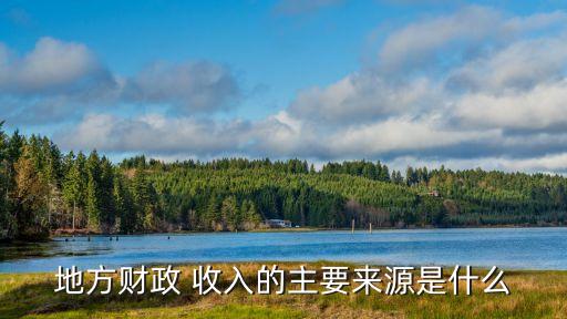 地方財(cái)政 收入的主要來(lái)源是什么