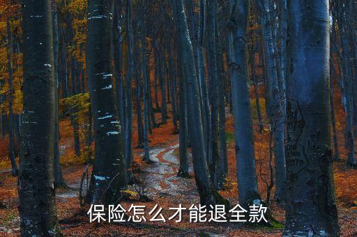 保險怎么才能退全款