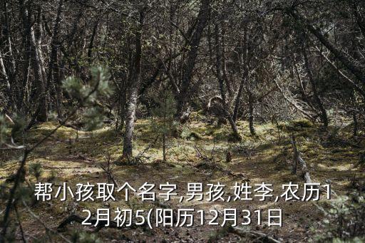 幫小孩取個名字,男孩,姓李,農(nóng)歷12月初5(陽歷12月31日