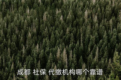 成都 社保 代繳機(jī)構(gòu)哪個(gè)靠譜