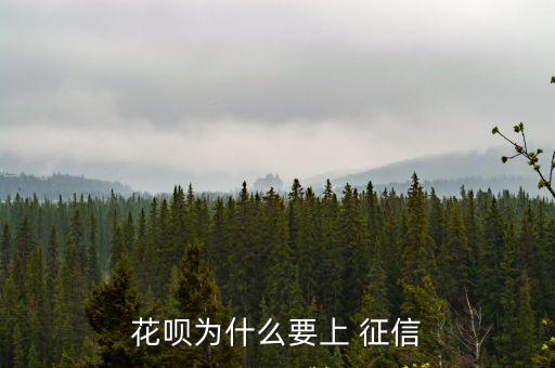 花唄為什么要上 征信