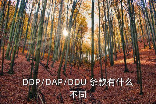 ddp條款,DDP條款