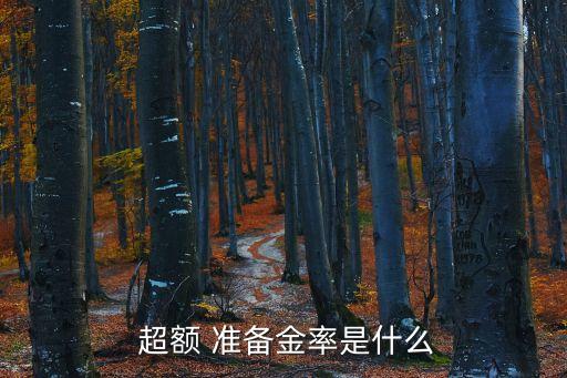 超額存款準備金