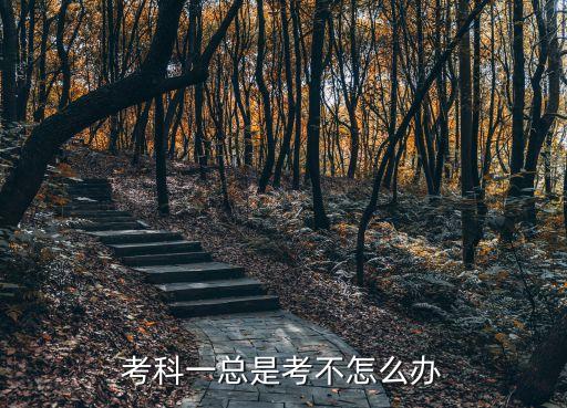 考科一總是考不怎么辦