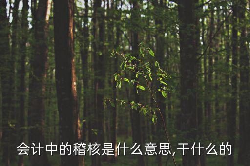 會計中的稽核是什么意思,干什么的