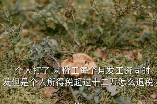 打兩份工一個(gè)月12000,找小時(shí)工晚上干3一4個(gè)小時(shí)