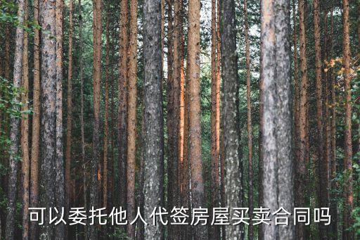 個人賣房協(xié)議書他人代賣