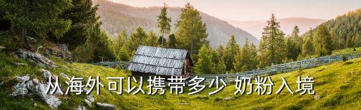 從海外可以攜帶多少 奶粉入境