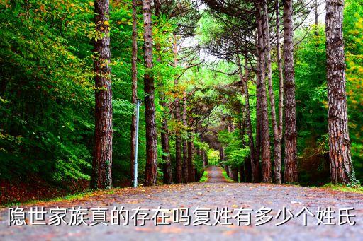 隱世家族真的存在嗎復(fù)姓有多少個姓氏