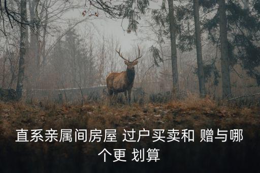 房產(chǎn)贈與和過戶哪個劃算,夫妻房產(chǎn)贈與和過戶哪個劃算