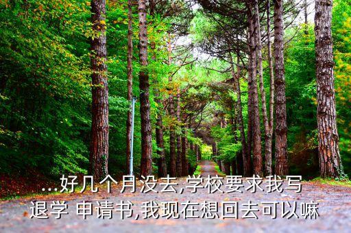 ...好幾個(gè)月沒(méi)去,學(xué)校要求我寫(xiě) 退學(xué) 申請(qǐng)書(shū),我現(xiàn)在想回去可以嘛