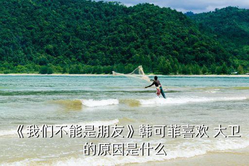 《我們不能是朋友》韓可菲喜歡 大衛(wèi)的原因是什么