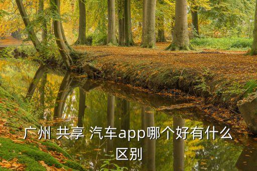 廣州 共享 汽車app哪個(gè)好有什么區(qū)別