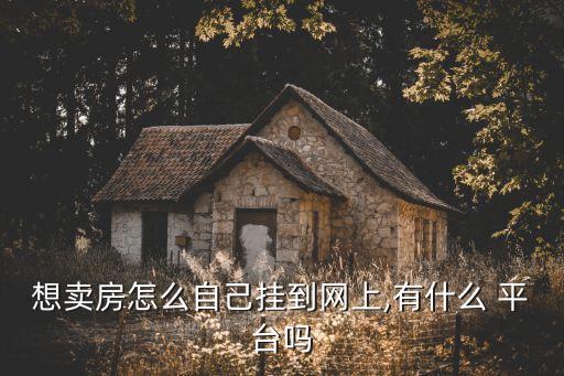 想賣房怎么自己掛到網(wǎng)上,有什么 平臺(tái)嗎