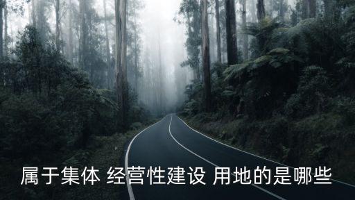 經(jīng)營(yíng)性用地,高速公路服務(wù)區(qū)經(jīng)營(yíng)性用地