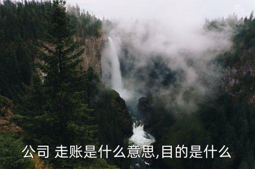 走賬