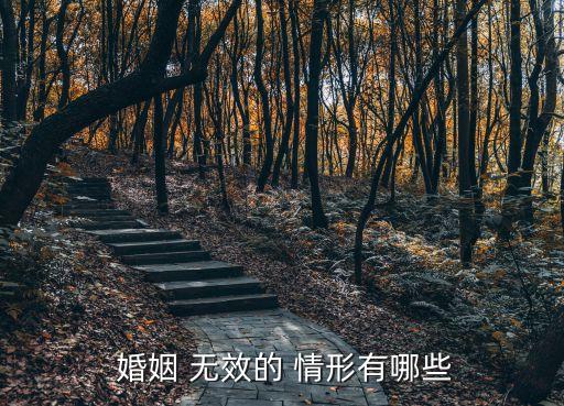 婚姻 無效的 情形有哪些