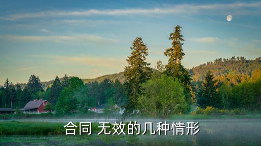  合同 無(wú)效的幾種情形