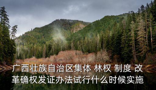 廣西壯族自治區(qū)集體 林權(quán) 制度 改革確權(quán)發(fā)證辦法試行什么時候?qū)嵤? class=