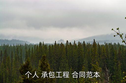 個(gè)人 承包工程 合同范本