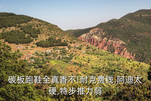 碳板跑鞋全真香不!耐克費錢,阿迪太硬,特步推力弱