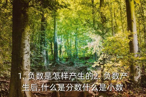 負(fù)數(shù)的產(chǎn)生