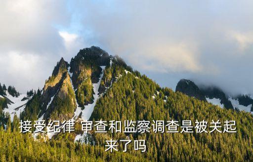 接受審查
