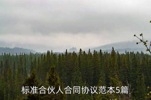 標(biāo)準(zhǔn)合伙人合同協(xié)議范本5篇