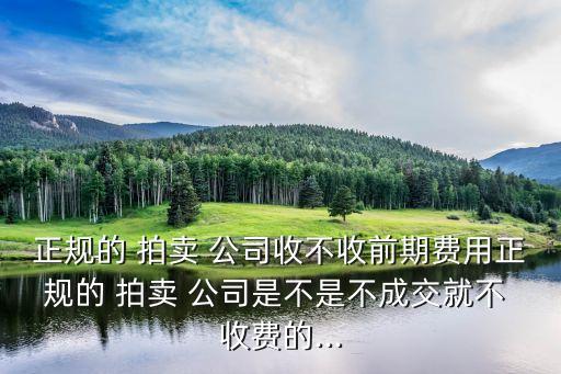 拍賣(mài)公司收費(fèi)