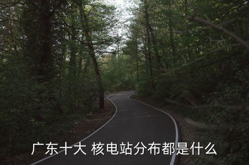 廉江核電