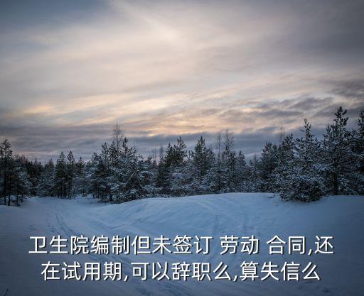 衛(wèi)生院編制但未簽訂 勞動 合同,還在試用期,可以辭職么,算失信么