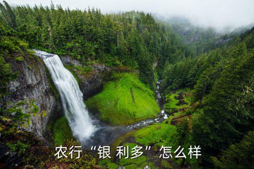 農(nóng)行銀利多安全嗎,長銀58是正規(guī)貸款嗎