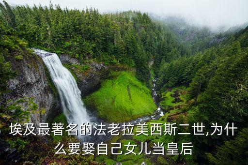 我女兒的愛人2,妻子的背叛的電影