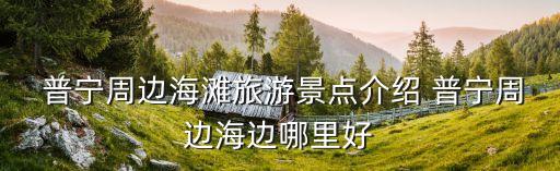 揭陽普寧市,廣東省揭陽普寧市