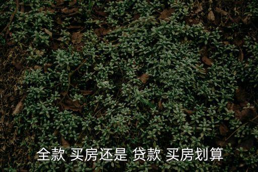  全款 買房還是 貸款 買房劃算