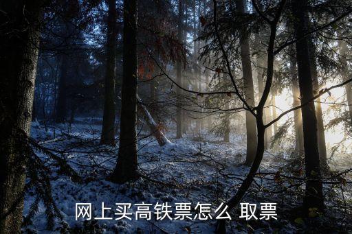 網(wǎng)上買高鐵票怎么 取票