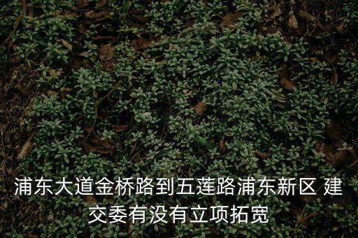 浦東大道金橋路到五蓮路浦東新區(qū) 建交委有沒有立項(xiàng)拓寬